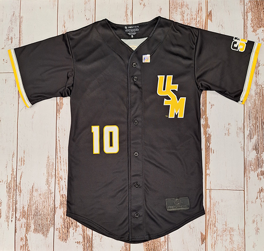 Jersey Baseball Stripes Stacked USM #10 Eagle Head