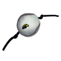 Pet Toy Baseball with Eagle Head