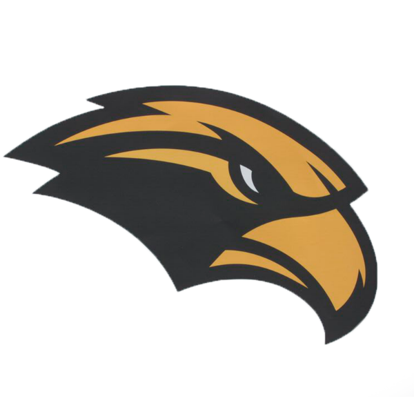 Auto Decal Moveable 12"X17" Eagle Head