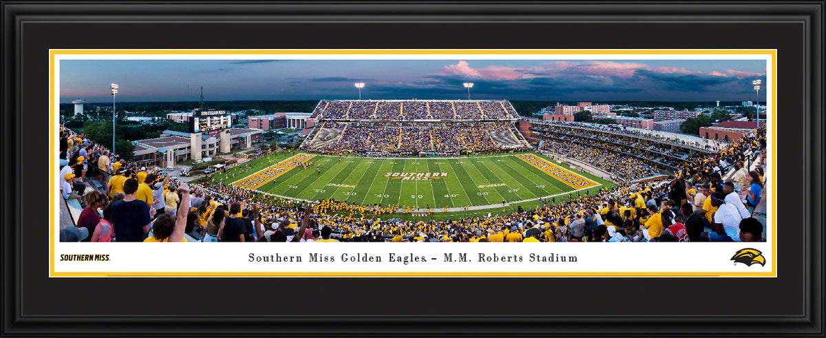 Panorama 50 Yard Line 2019 M.M. Roberts