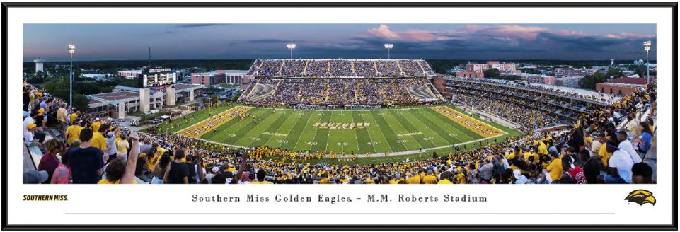 Panorama 50 Yard Line 2019 M.M. Roberts